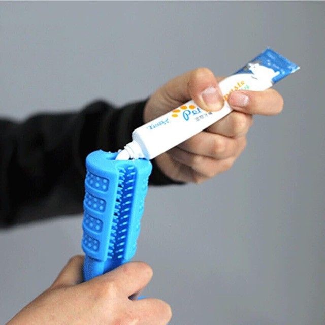 TG63396 GRYZAK DENTYSTYCZNY DLA PSA SZCZOTKA DO ZĘBÓW USUWA KAMIEŃ ZABAWKA