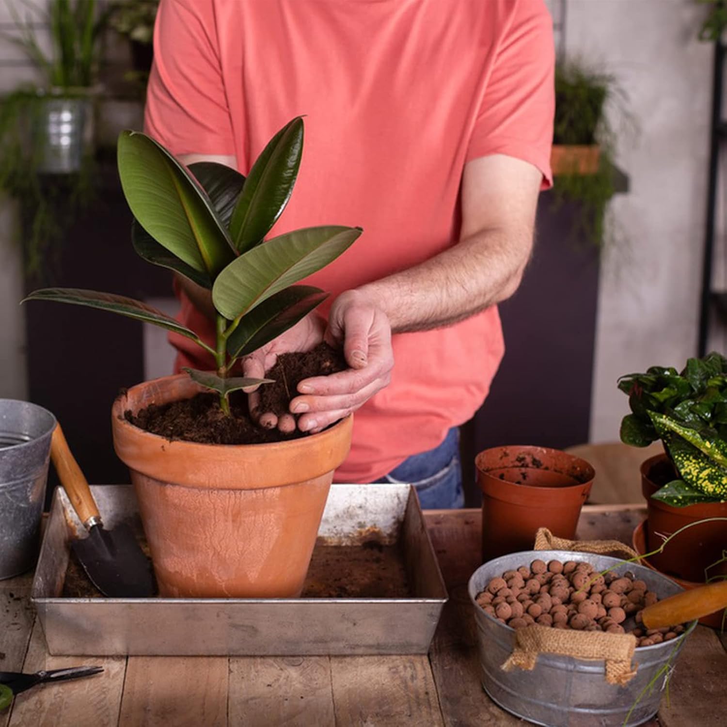 BIO6 ZIEMIA UNIWERSALNA 10L DO KWIATÓW ROŚLIN ZIELONYCH BIOVITA