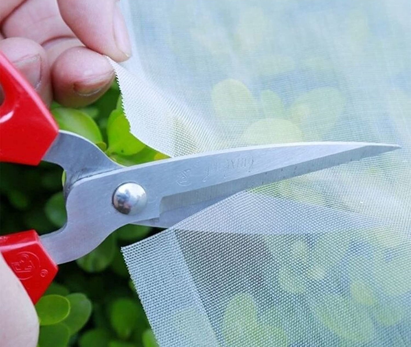 TG71989 SIATKA OCHRONNA PRZECIW OWADOM NA GRZĄDKĘ CHRONIĄCA 2X30M 80 MESH