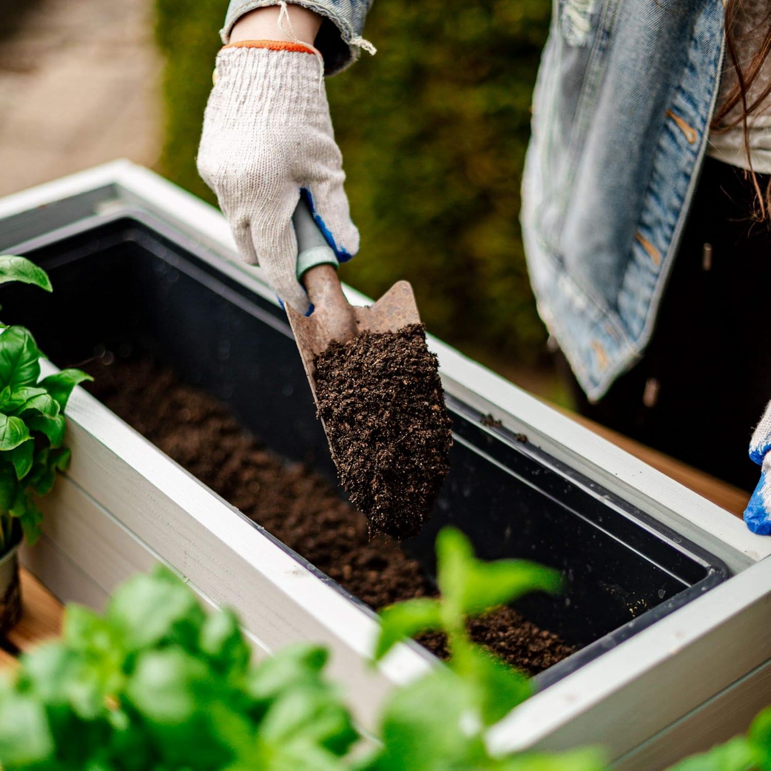 BIO6 ZIEMIA UNIWERSALNA 10L DO KWIATÓW ROŚLIN ZIELONYCH BIOVITA