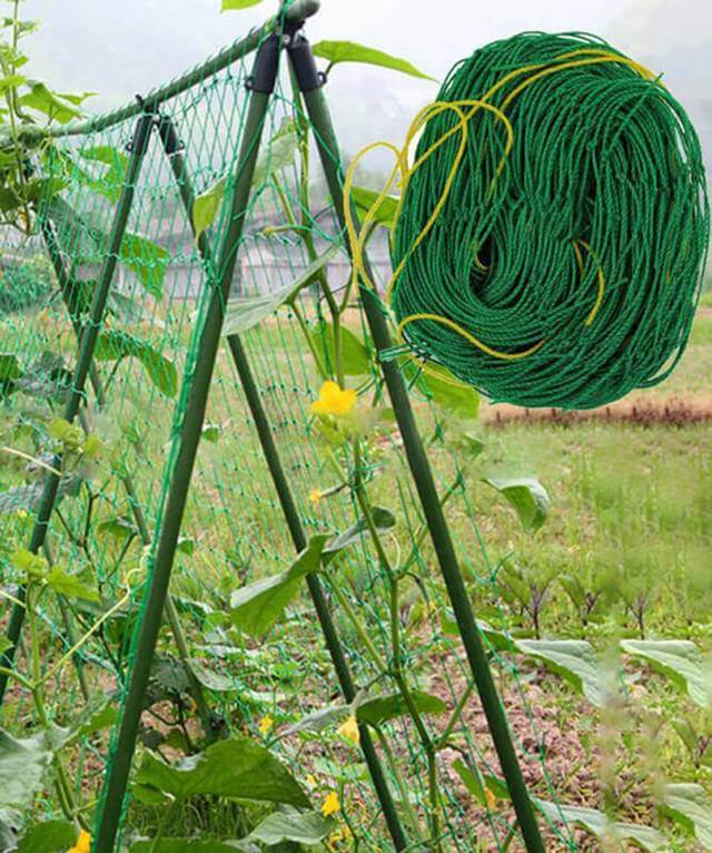 TG67379 PODPORA Z SIATKĄ DO ROŚLIN PNĄCYCH PNĄCZY STELAŻ OGRODOWY SIATKA 150cm zdjęcie 3