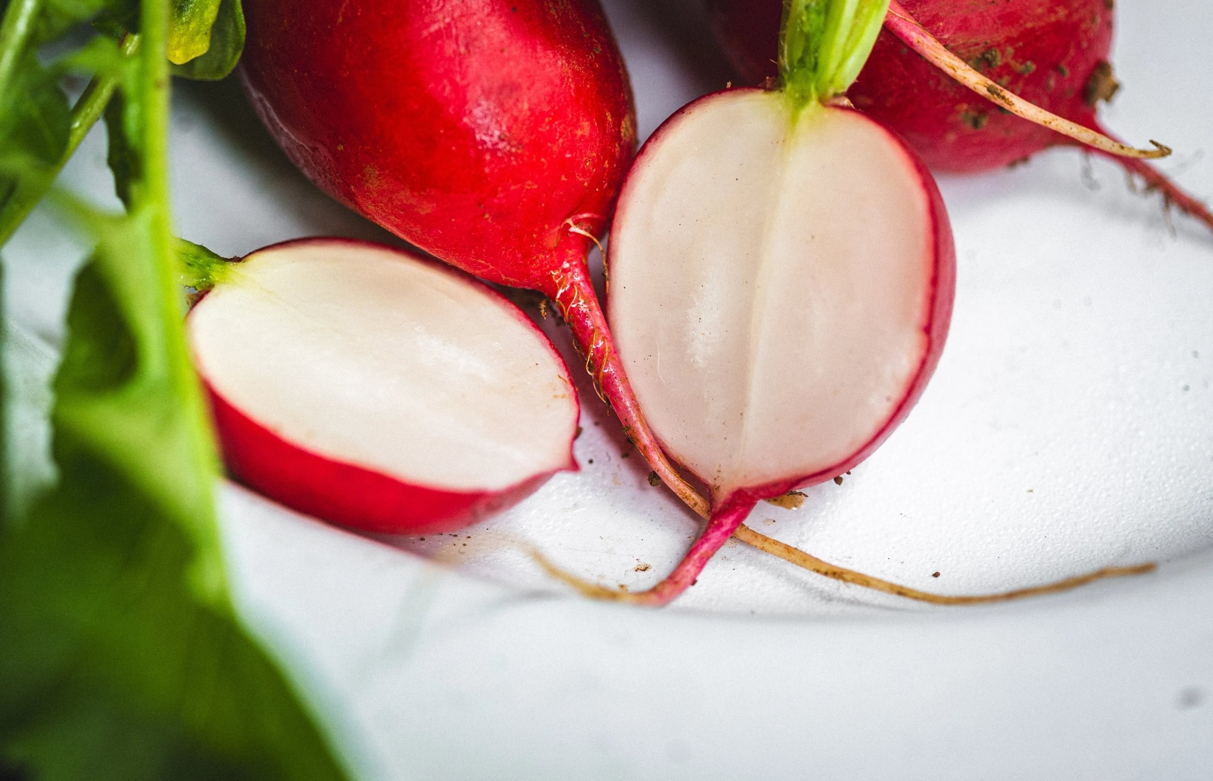 T8339 RZODKIEWKA na Taśmie nasiennej 6M NASIONA RZODKIEWKI OKRĄGŁA ŁAGODNA