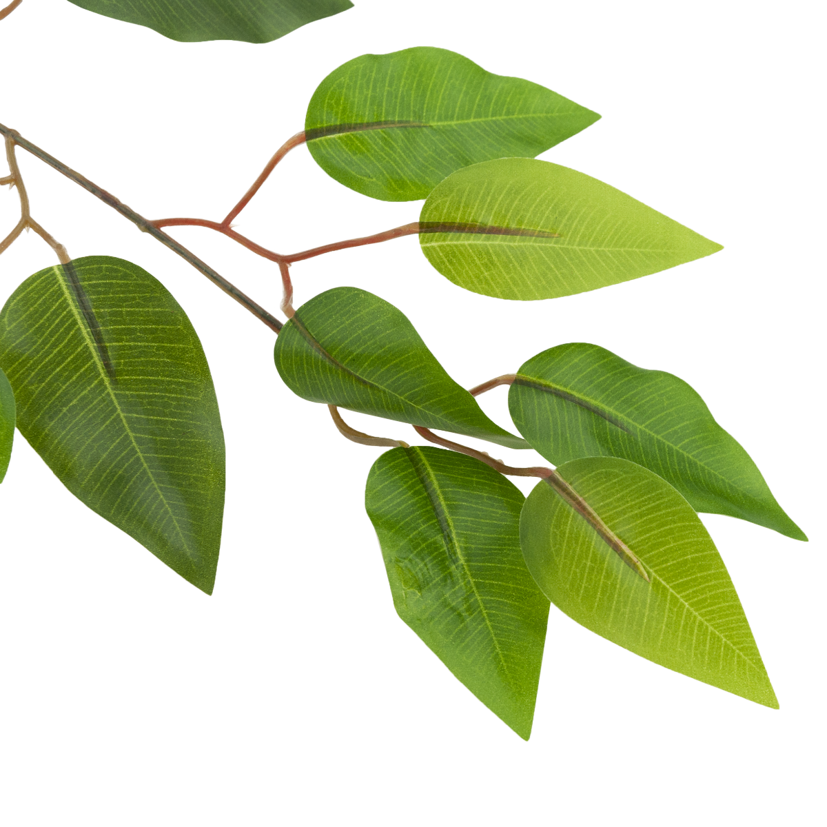 CV07555 LIŚĆ FIKUSA GAŁĄZKA OZDOBNA DEKORACYJNA FICUS