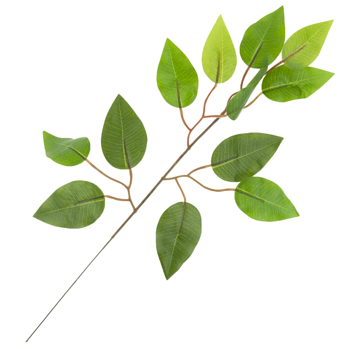 CV07555 LIŚĆ FIKUSA GAŁĄZKA OZDOBNA DEKORACYJNA FICUS
