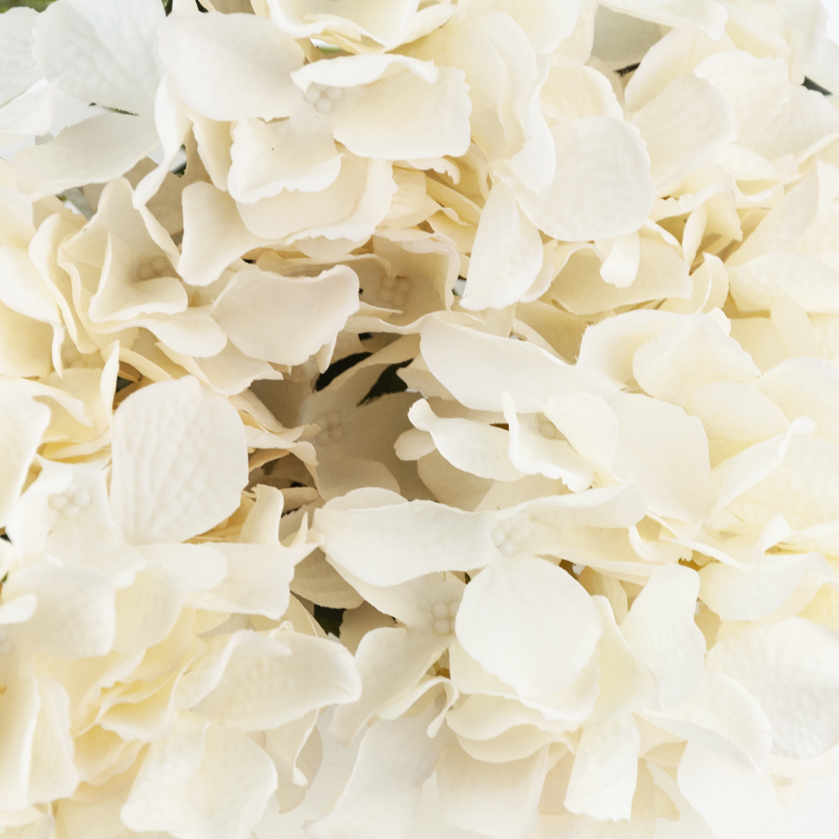 CV28571-2 HORTENSJA GĘSTY BUKIET 5 KWIATÓW HORTENSJI 50CM DO WAZONU STROIKA