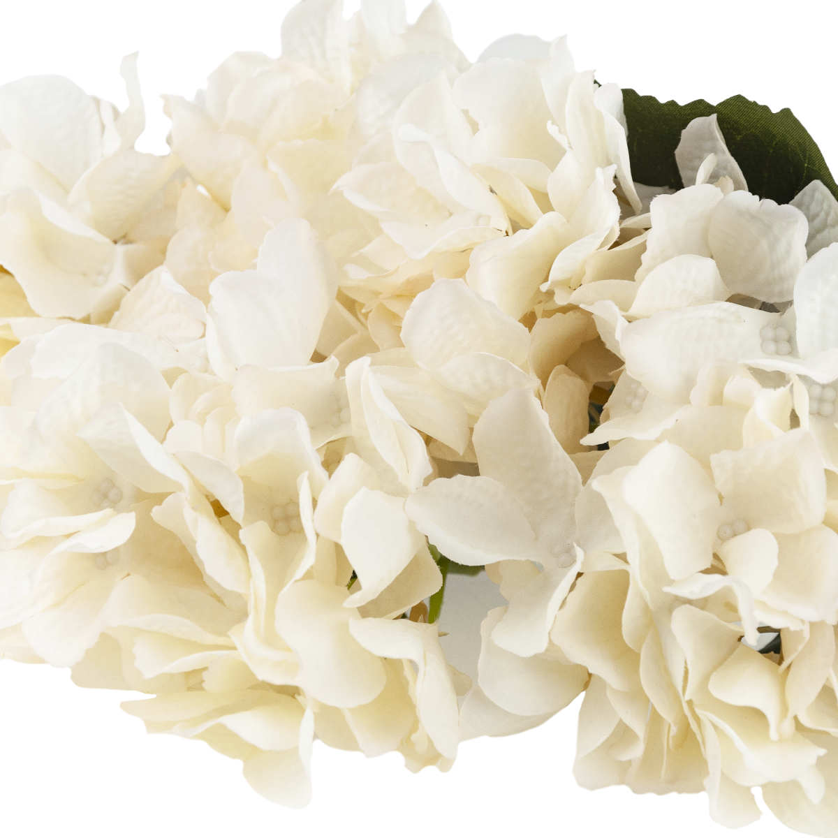 CV28571-2 HORTENSJA GĘSTY BUKIET 5 KWIATÓW HORTENSJI 50CM DO WAZONU STROIKA