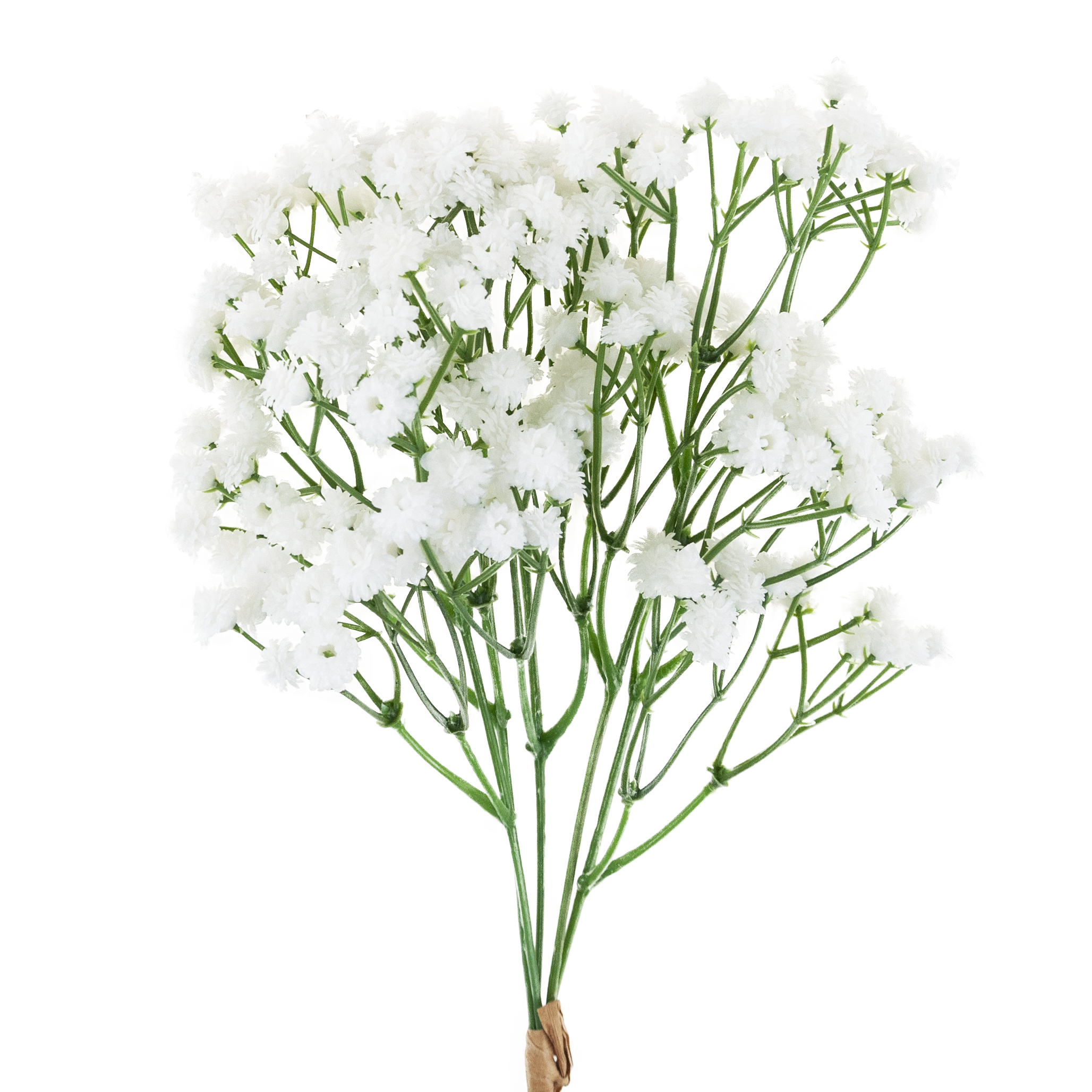 CV32934-1 GIPSÓWKA BUKIET X5