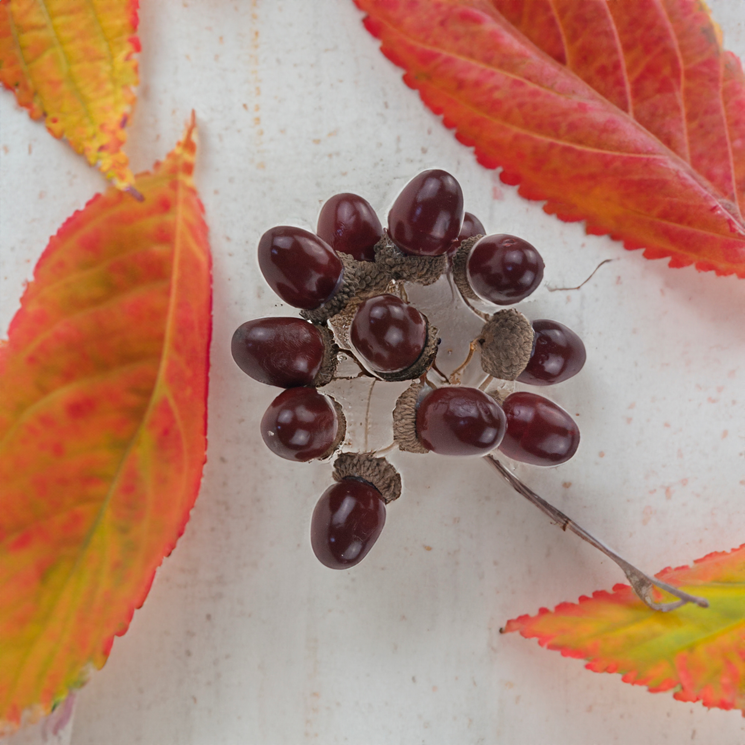 CV33939 ŻOŁĘDZIE SZTUCZNE DEKORACYJNA GAŁĄZKA DO STROIKA JAK ŻYWE