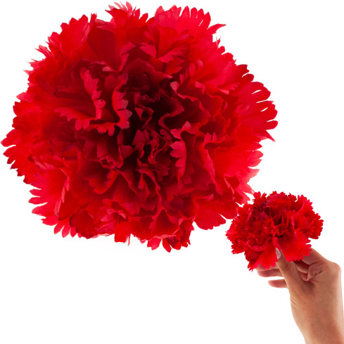 Goździk wyrobowy, główka kwiatowa, sztuczny, czerwony, do stroików, 10cm