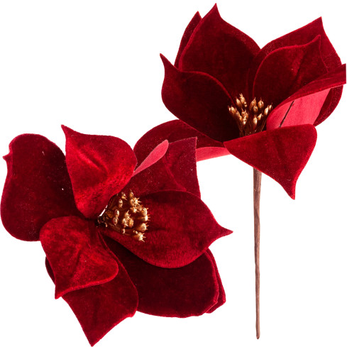 CV34101-6 GWIAZDA BETLEJEMSKA NA PIKU WELURA POINSECJA ŚWIĘTA CHOINKA