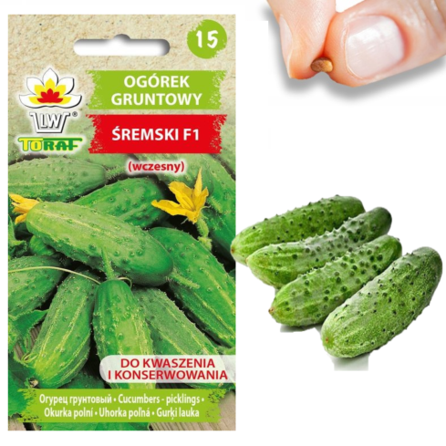 W1129 OGÓREK GRUNTOWY NASIONA OGÓRKA ŚREMSKI F1 WCZESNY ZIELONY ODPORNY 5G