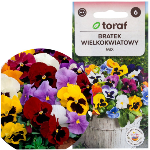 R0463 BRATEK WIELKOKWIATOWY MIX 0,2G NASIONA