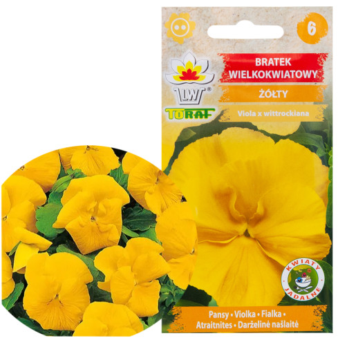 R2788 BRATEK WIELKOKWIATOWY ŻÓŁTY NASIONA 0,2G KWIATY