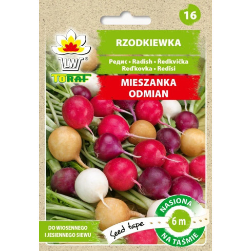 T8024 RZODKIEWKA NASIONA MIX ODMIAN TAŚMA NASIENNA 6M MIESZANKA KOLOROWA