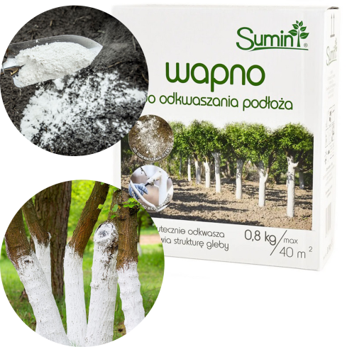 SUM15 WAPNO DO ODKWASZANIA PODŁOŻA 0,8KG