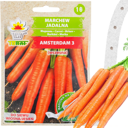 T8003 MARCHEW AMSTERDAM 3 NA TAŚMIE WCZESNA TAŚMA NASIENNA NASIONA MARCHWI MARCHEWKI 6M