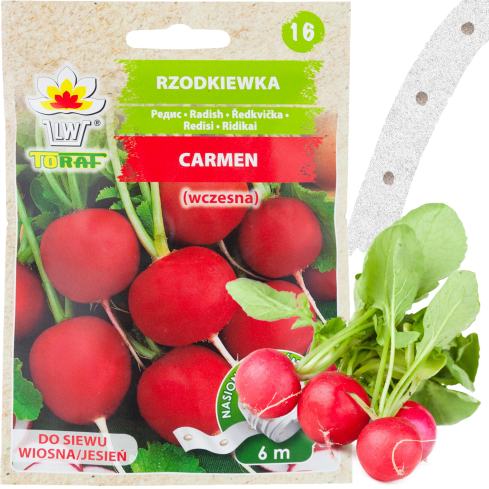 T8339 RZODKIEWKA na Taśmie nasiennej 6M NASIONA RZODKIEWKI OKRĄGŁA ŁAGODNA