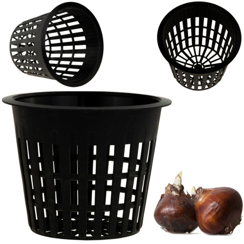 TG64625 KOSZYK OSŁONKA DO SADZENIA CEBUL CEBULEK KOSZYCZEK NA CEBULKI 6,6x8,3cm