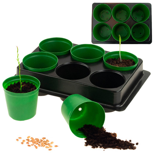 TG71424 DONICZKI PRODUKCYJNE multiplaty DO ROZSAD WYSIEWU SADZONEK 6SZT + PALETKA