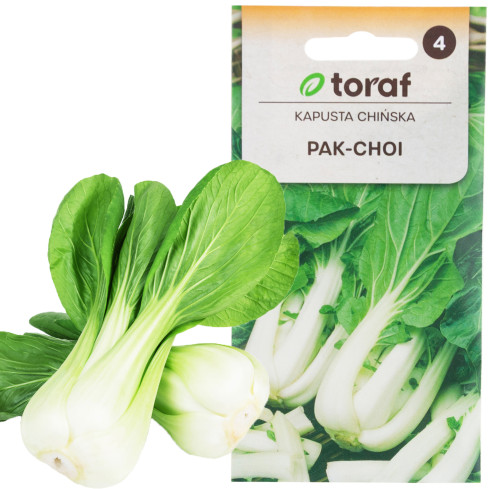 W3779 KAPUSTA PAK CHOI CHIŃSKA 1G NASIONA KAPUSTY CHIŃSKIEJ TORAF