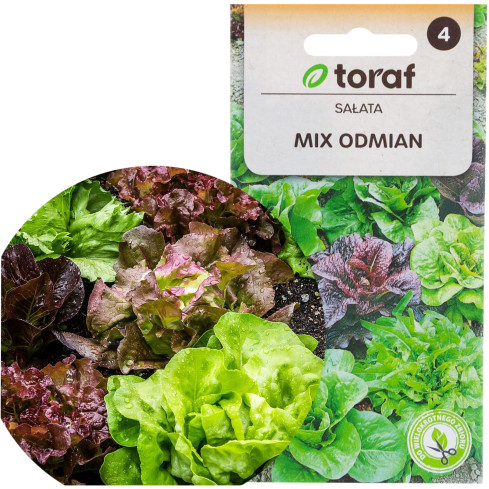 W6595 SAŁATA MIX ODMIAN NASIONA SAŁAT MIESZANKA KRUCHA MASŁOWA 1G