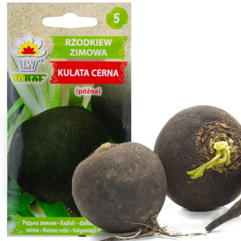 W7288 RZODKIEW CZARNA KULATA CERNA 5G NASIONA RZODKWI