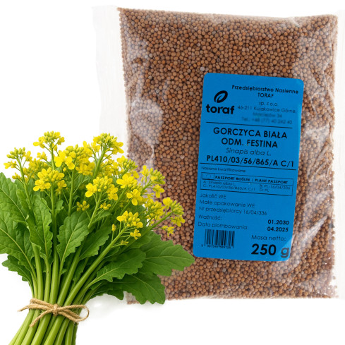 Z9725 GORCZYCA BIAŁA NA POPLON FESTINA 250G