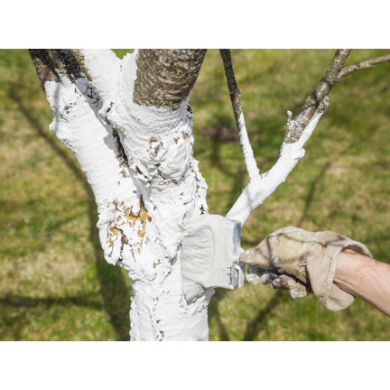 SUM16 WAPNO DO ODKWASZANIA PODŁOŻA 2KG
