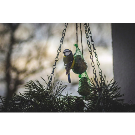 Kula tłuszczowa dla dzikich ptaków, karma dla ptaków zimowa, mieszanka nasion i zbóż, 1szt. 90g