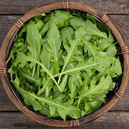 W1255 RUKOLA DZIKA WIELOLETNIA NASIONA RUKOLI SAŁATY WARZYW PIKANTNA 1G