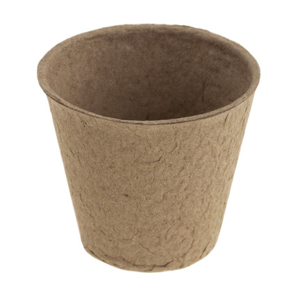 201277 DONICZKI TORFOWE P6 BIODEGRADOWALNE ROZSADOWE SADZONKI ROZSADY 6 cm 60 szt.