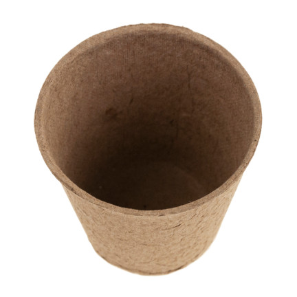 201277 DONICZKI TORFOWE P6 BIODEGRADOWALNE ROZSADOWE SADZONKI ROZSADY 6 cm 60 szt.