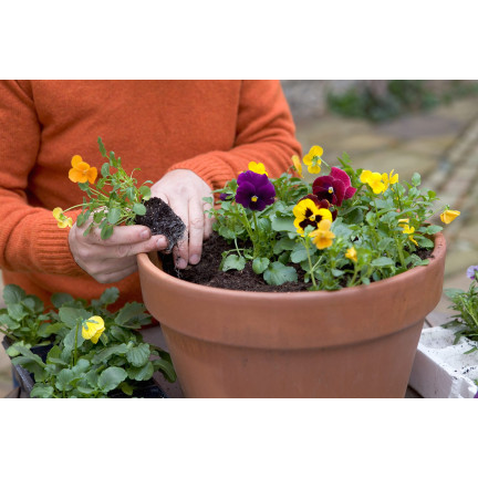 BIO6 ZIEMIA UNIWERSALNA 10L DO KWIATÓW ROŚLIN ZIELONYCH BIOVITA