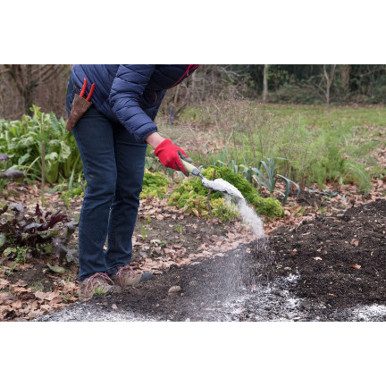 BIO12 WAPNO DO BIELENIA DRZEW DRZEWEK I ODKWASZANIA GLEBY ZIEMI 2KG BIOVITA