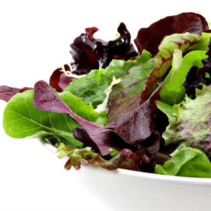 W6595 SAŁATA MIX ODMIAN NASIONA SAŁAT MIESZANKA KRUCHA MASŁOWA 1G