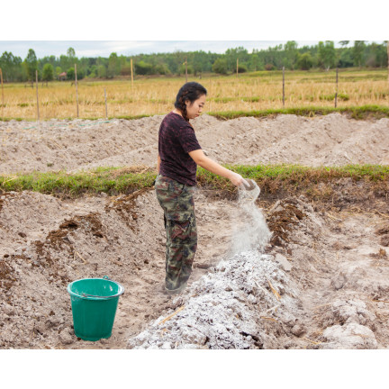 BIO12 WAPNO DO BIELENIA DRZEW DRZEWEK I ODKWASZANIA GLEBY ZIEMI 2KG BIOVITA