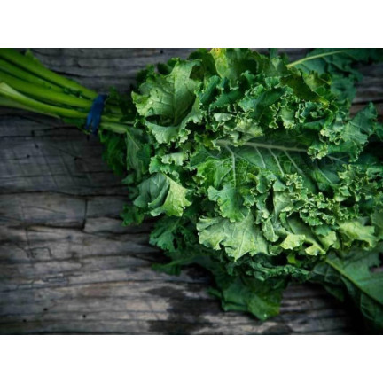 W1066 NASIONA JARMUŻU JARMUŻ KAPRAL ZIELONY  ŚREDNIOWCZESNY ODPORNY ZDROWY 1g