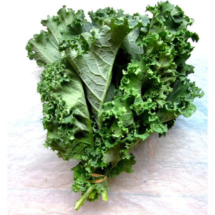 W1066 NASIONA JARMUŻU JARMUŻ KAPRAL ZIELONY  ŚREDNIOWCZESNY ODPORNY ZDROWY 1g