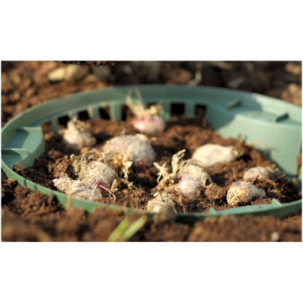 IKCS315-G851 KOSZYK koszyczek osłonka DO SADZENIA CEBUL na cebulki kwiatowe 31,5cm