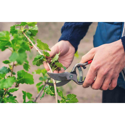 SUM28 MULTIROOTS UKORZENIACZ 100ML SUMIN