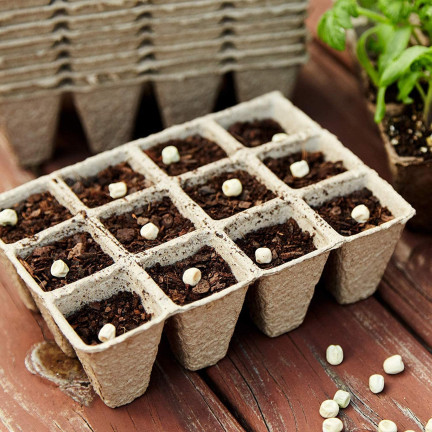 TG60477 DONICZKI TORFOWE wielodoniczki BIODEGRADOWALNE SADZONKI ROZSADY 4xTACKA 48szt