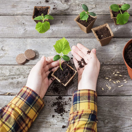 EDA3234 KOMPLET 3 PALETEK DONICZEK TOFROWYCH 24,5X12,5X6CM