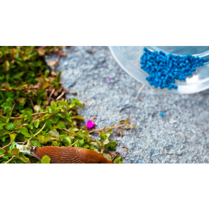 SUM22 ŚRODEK NA ŚLIMAKI PREPARAT TRUTKA NIEBIESKIE GRANULKI SUMIN MOLUFRIES 1KG