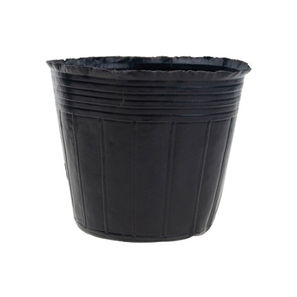 TG70302 DONICZKI PRODUKCYJNE DO ROZSAD UPRAW WYSIEWU SADZONKI 10X10 10SZT/KPL