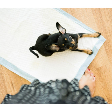 Podkłady higieniczne, maty chłonne dla zwierząt, do nauki czystości, zestaw 50szt., 60x60cm