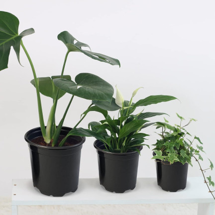 TG72940 DONICZKA PRODUKCYJNA WYSOKA P14 1,5L OKRĄGŁA ROZSADOWA Z RANTEM 14X14CM