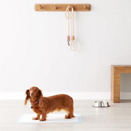 Podkłady higieniczne, maty chłonne dla zwierząt, do nauki czystości, zestaw 50szt., 60x60cm