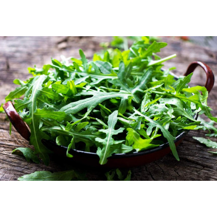 W1255 RUKOLA DZIKA WIELOLETNIA NASIONA RUKOLI SAŁATY WARZYW PIKANTNA 1G