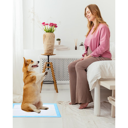 Podkłady higieniczne, maty chłonne dla zwierząt, do nauki czystości, zestaw 50szt., 60x60cm