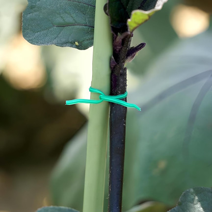 TG77623 LINKA OGRODOWA